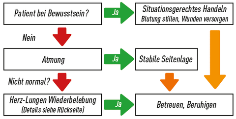 Ist der Patient bei Bewusstsein? 
Falls ja: Situationsgerechtes Handeln (Blutung stillen, Wunden versorgen) und anschließend betreuen und beruhigen.
Falls nein und er atmet: Stabile Seitenlage und anschließend betreuen und beruhigen.
Falls nein und er nicht normal atmet: Herz-Lungen-Wiederbelebung und anschließend betreuen und beruhigen.
