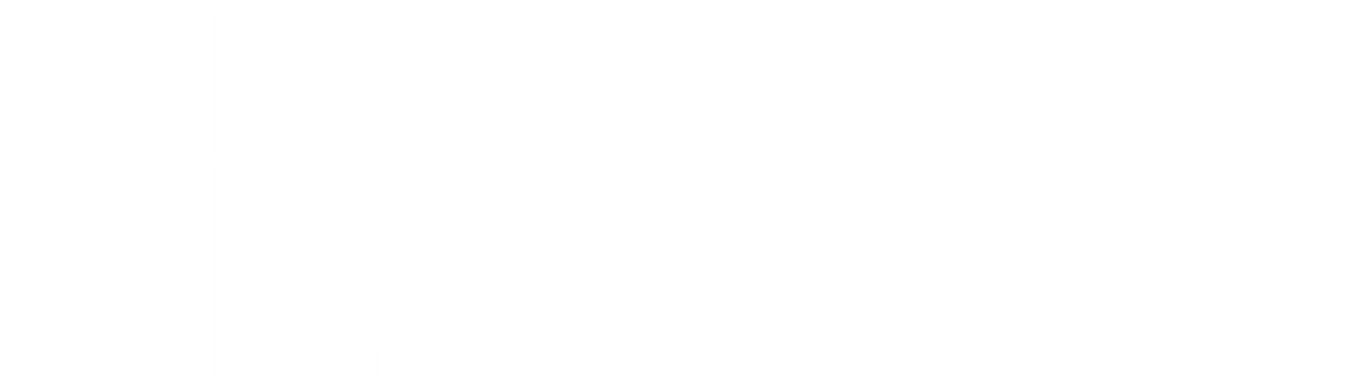 Logo fritz kola