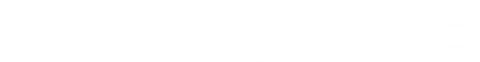 Logo Turnstile