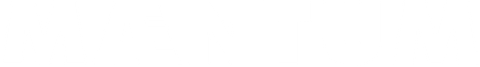 Logo Maentum copy